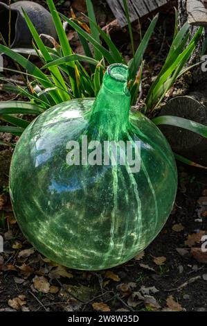 'Gros plan d'une grande bouteille en verre vert avec un corps rond, large et un petit col. Au sol dans un jardin, reposant sur le sol devant une plante, Banque D'Images