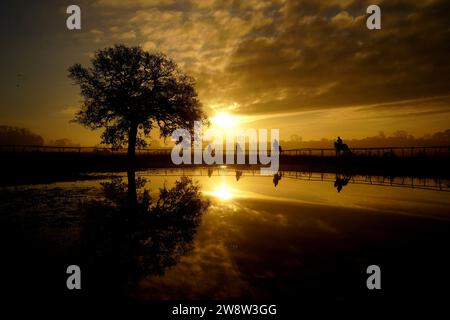 EXAMEN PA de L'ANNÉE 2023 photo du dossier datée du 06/12/23 - chevaux au galop à Sam Drinkwater Granary stables, Strensham, Worcestershire. Date de parution : Vendredi 22 décembre 2023. Banque D'Images