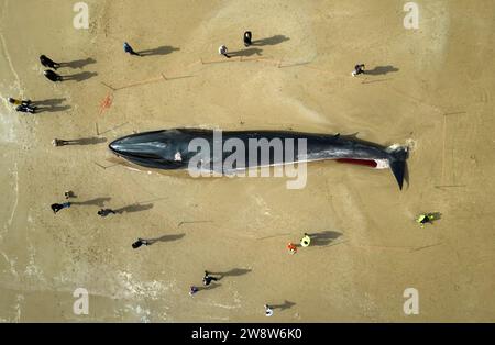 AVIS de PA SUR L'année 2023 photo du dossier datée du 04/05/23 - la carcasse d'un baleine nageoire de 55 pieds (17m) (Balaenoptera physalus), se trouve sur la plage de Bridlington, dans l'East Yorkshire, car les entrepreneurs espèrent pouvoir enlever le mammifère, échoué sur la plage touristique populaire sans avoir à le couper. La baleine de 30 tonnes a été repérée en difficulté et est morte plus tard. Date de parution : Vendredi 22 décembre 2023. Banque D'Images