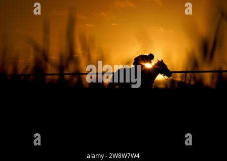 PHOTO PHOTOGRAPHE PA DE L'ANNÉE 2023 - ZAC GOODWIN. Photo du dossier datée du 14/11/23 - Un coureur et un coureur en action alors qu'ils concourent dans le Sky Sports Racing Sky 415 handicap haie à l'hippodrome de Lingfield Park. Date de parution : Vendredi 22 décembre 2023. Banque D'Images