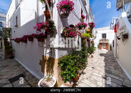 Maisons blanches dans les rues étroites de la petite ville de Mottola, décorées de fleurs colorées. Banque D'Images