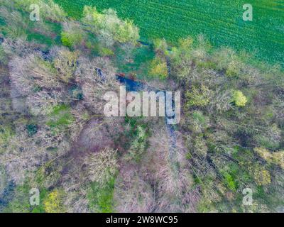 Cet instantané aérien révèle les premiers signes du printemps dans un paysage mixte, où s'entremêlent un patchwork de bois et de champs verdoyants. Un petit plan d'eau niché dans les arbres sert de joyau caché, reflétant le ciel au-dessus. La transition des branches stériles de l'hiver à la verdure naissante du printemps est capturée ici, avec certains arbres déjà vantant de jeunes feuilles, tandis que d'autres attendent le temps plus chaud. Les textures naturelles et les nuances variées de vert et de brun créent une riche tapisserie qui parle du renouvellement et de la croissance de la saison. Mosaïque aérienne de printemps de Woodland et FIE Banque D'Images