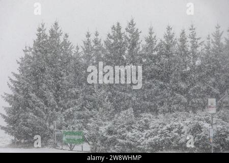 231222 SchneeZoltan News ID : FR 2023-12-22-2 Sturm Zoltan : Starkschneefälle sorgen für Verkehrsbehinderungen 10 Zentimeter Neuschnee und querstehende LKW Stollberg. Sturmtief Zoltan sorgt weiterhin für Probleme im Erzgebirge. DAS Sturmtief ist abgezogen und auf dessen Rückseite floss vergangene Nacht deutlich kältere Luft nach Deutschland. Dies hatte zur Folge, dass die Schneefallgrenze deutlich absank. Der Regen verwandelte sich in Schnee und sorgt seit dem Morgen für zahlreiche verschneite und glatte Straßen. Auf der B180 zwischen Stollberg und dem Abzweig nach Hoheneck ging am Morgen stelle Banque D'Images