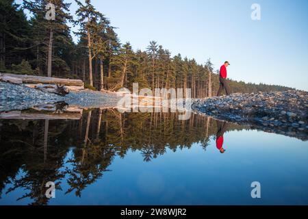 Reflet de l'homme marchant à Cedar Creek dans le parc national olympique Banque D'Images