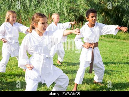 Tweenagers de différentes nationalités apprenant des mouvements de karaté sur la pelouse verte Banque D'Images