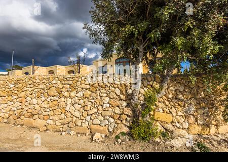 Vacances à la ferme Tuta à Kerċem, Gozo, Malte Banque D'Images