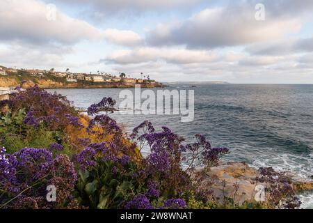 Vue sur la falaise de la crique à Bird Rock à la Jolla Banque D'Images