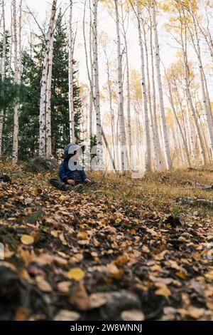 Enfant dans une forêt d'Aspen, regardant autour Banque D'Images