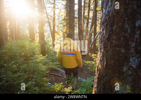 Vue arrière de l'homme actif en randonnée à travers la forêt Banque D'Images