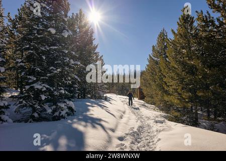 Paysage hivernal ensoleillé dans le Colorado Banque D'Images