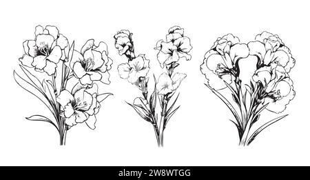 gladiolus fleur crayon art, noir et blanc contour vectoriel coloriage page et livre pour adultes et enfants fleur gladiolus, avec des feuilles dessinées à la main illustration à l'encre gravée conception artistique Illustration de Vecteur