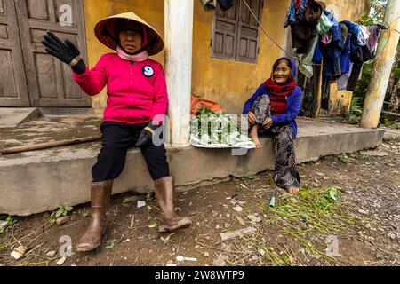 Épouse de fermiers dans un village du Vietnam Banque D'Images