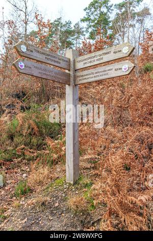 Poste de guide en bois au carrefour menant aux réserves naturelles : Pietersheim, de Mechelse Herder, la Butte aux Bois, colline avec fougères sèches en arrière-plan, se trouvent Banque D'Images
