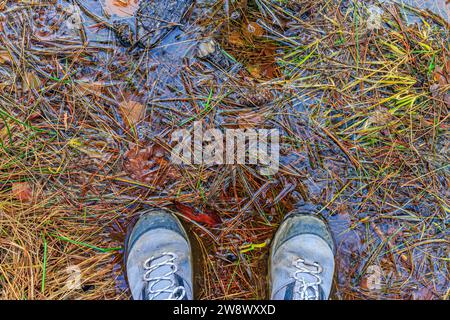 Perspective à angle supérieur de deux chaussures de randonnée pour hommes, sales avec de la boue contre une flaque d'eau sur l'herbe sur un sentier de randonnée en forêt, reflet de la lumière en backgro Banque D'Images