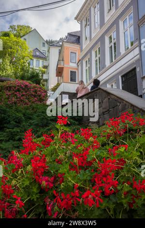 Bergen, Norvège, le 29 juin 2023 : la ville de Bergen abrite de nombreux jardins de fleurs, d'arbres, de shourbs qui coexistent des matériaux artificiels qui construisent un Banque D'Images