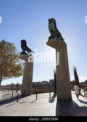 Statues de lions conçues par Francisco Rallo Lahoz dans le Pont de pierre de Saragosse, Espagne Banque D'Images