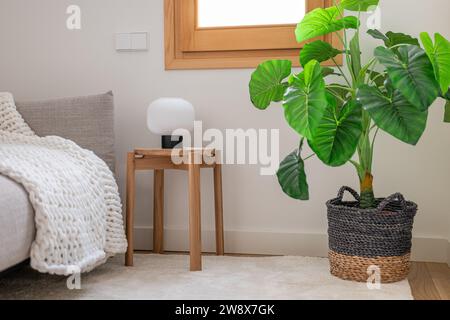 Pot avec fleur sur le sol de la chambre à côté du tabouret avec lumière Banque D'Images