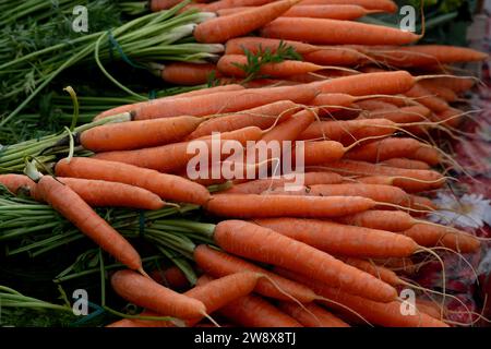 Crrots à vendre sur un stand de marché, Royaume-Uni Banque D'Images