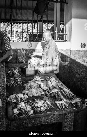 Poissonniers sur le marché de Stone Town, Zanzibar Banque D'Images