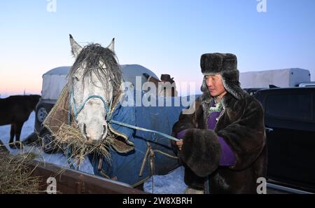 (231222) -- HULUN BUIR, 22 déc. 2023 (Xinhua) -- Erdendalai nourrit un cheval après une course à Hulun Buir, dans la région autonome de Mongolie intérieure du nord de la Chine, le 17 décembre 2023. L'hiver signifie généralement des défis pour les bergers vivant sur les prairies. Le froid intense et la neige affectent toujours leur vie quotidienne. Mais pour Erdendalai, un berger vivant à Hulun Buir, l'hiver est encore une saison chargée. En plus de prendre soin de plus de 200 têtes de bétail, moutons et chevaux qu'il possède, Erdendalai bénéficie également d'une activité importante de courses hippiques. Les chevaux ont toujours été un moyen de transport fiable et un indispen Banque D'Images