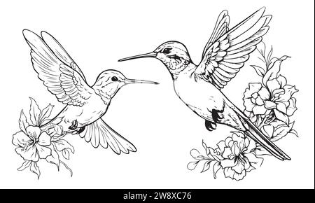 Oiseaux à bourdonnement dessinés à la main isolés sur blanc. Ensemble de colibris volants monochromes. Vol colibri vue avant et latérale. Esquisse vectorielle. Illustration de Vecteur