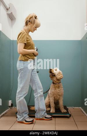 Femme regardant le chien assis sur l'échelle de poids au vétérinaire Banque D'Images