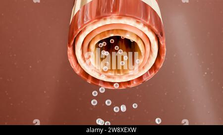 Symptômes d'asthme, traitement, Bronchiole, rendu 3D. Banque D'Images