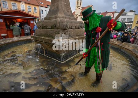 Uhersky Brod, République tchèque. 22 décembre 2023. Florian le vodyanoy vend des carpes de Noël de la fontaine baroque historique sur la place Masaryk à Uhersky Brod, République tchèque, le 22 décembre 2023. Crédit : Dalibor Gluck/CTK photo/Alamy Live News Banque D'Images