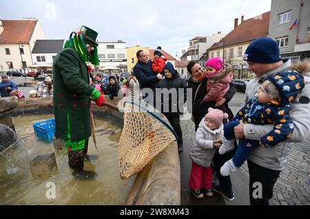 Uhersky Brod, République tchèque. 22 décembre 2023. Florian le vodyanoy vend des carpes de Noël de la fontaine baroque historique sur la place Masaryk à Uhersky Brod, République tchèque, le 22 décembre 2023. Crédit : Dalibor Gluck/CTK photo/Alamy Live News Banque D'Images