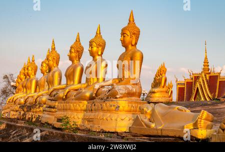 Rangées de belles, miniatures, sculptures d'or vibrantes de Bouddha, illuminées par le soleil couchant, alignées au sommet d'un mur en pente, à côté du temple, Banque D'Images