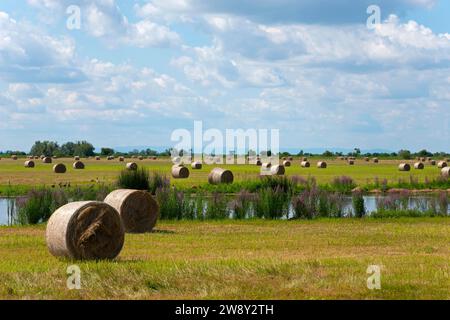 Paysage de Puszta et steppe avec des balles de foin et lac près de Kungyoergy dans le parc national Hortobagy, parc Hortobagy Nemzeti, réserve de biosphère de l'UNESCO Banque D'Images