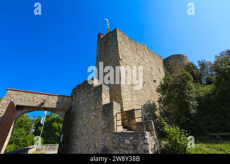 Château Derneck, ruine de château médiéval, maçonnerie, pierre, drapeau, ciel bleu, Degeneck, château mur bouclier en position éperon du 14e siècle, Muenzdorf- Banque D'Images