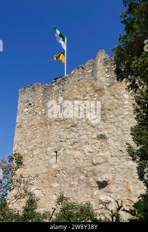 Château Derneck, ruine de château médiéval, maçonnerie, pierre, drapeaux, ciel bleu, Degeneck, château mur bouclier en position éperon du 14e siècle Banque D'Images