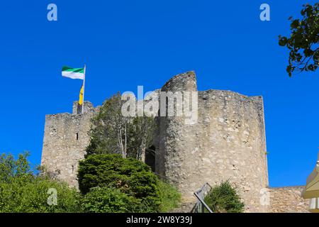 Château Derneck, ruine de château médiéval, maçonnerie, pierre, drapeau, ciel bleu, Degeneck, château mur bouclier en position éperon du 14e siècle, Muenzdorf- Banque D'Images