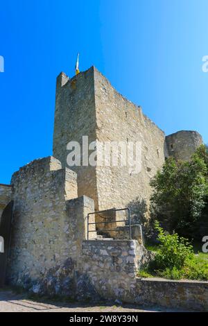 Château Derneck, ruine de château médiéval, maçonnerie, pierre, drapeau, ciel bleu, Degeneck, château mur bouclier en position éperon du 14e siècle, Muenzdorf- Banque D'Images