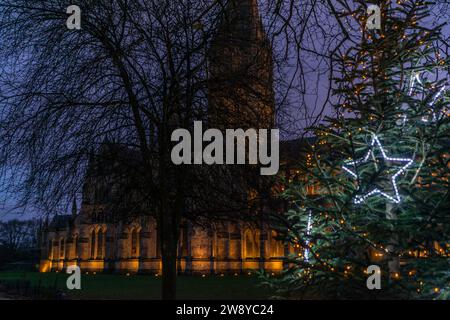 Cathédrale de Salisbury obscurcie par des branches d'arbres pendant Noël, Salisbury, Wiltshire, Angleterre, Royaume-Uni Banque D'Images