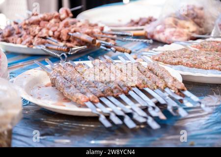 assiette de viande et morceaux de poulet prêts à être grillés Banque D'Images