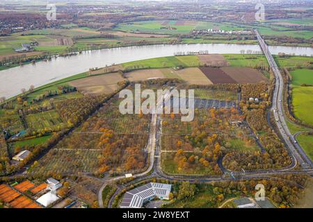 Vue aérienne, parkings sur le terrain de Messe Düsseldorf, Rhin et entouré d'arbres caduques d'automne, Stockum, Düsseldorf, Rhénanie, Banque D'Images