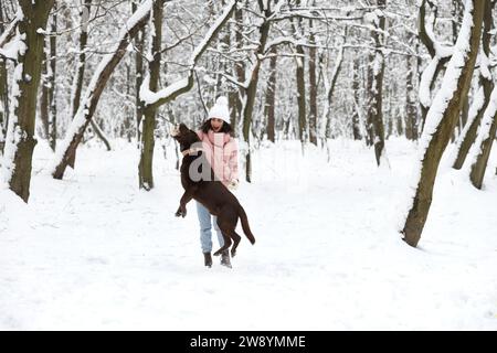 Femme jouant avec l'adorable chien Labrador Retriever dans le parc enneigé Banque D'Images