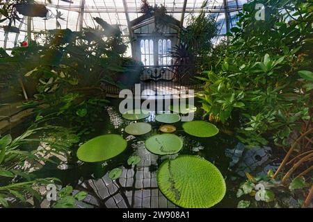 Le Conservatoire des fleurs est une serre et un jardin botanique qui abrite une collection de plantes rares et exotiques dans Golden Gate Park, avec construction Banque D'Images