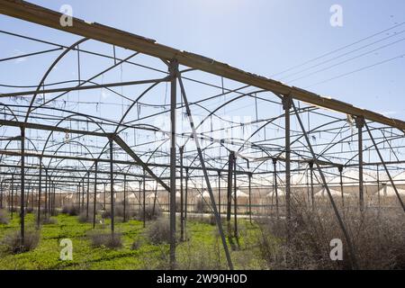 Une grande structure de serre abandonnée Banque D'Images