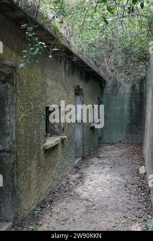 Reliques militaires du mont Davis, île de Hong Kong, Hong Kong, Chine 21 décembre 2023 Banque D'Images