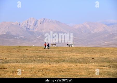 Août 23 2023 - lac Song kol au Kirghizistan : les nomades vivent leur vie ordinaire sur les pâturages d'été Banque D'Images