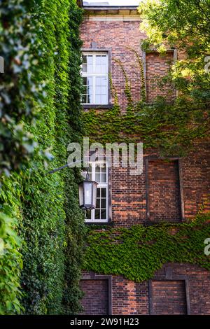 Intérieur d'un château de wawel basé sur l'architecture médiévale avec des plantes décorées sur le mur et le lampadaire Banque D'Images