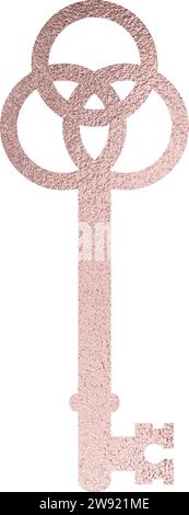 clé en or rose avec fond transparent Illustration de Vecteur