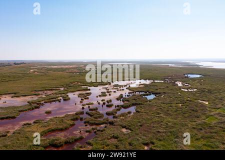 Autriche, Burgenland, Drone vue du parc national Neusiedler See-Seewinkel Banque D'Images