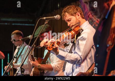 Bluegrass britannique et le groupe Americana The Lowly Strung sur la scène Peacock au Maverick Festival dans le Suffolk rural au Royaume-Uni Banque D'Images