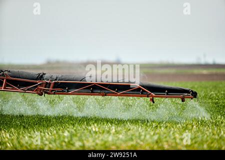 Serbie, province de Voïvodine, tracteur pulvérisant de l'herbicide dans un champ de blé printanier Banque D'Images