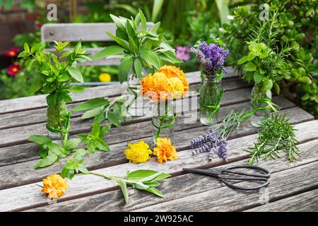 Herbes et fleurs comestibles cultivées dans le jardin du balcon Banque D'Images