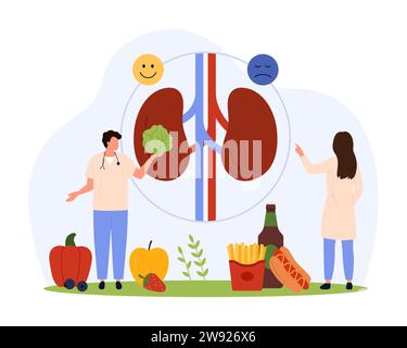 Choisir une alimentation saine pour la santé rénale. Les petites personnes choisissent des légumes et des fruits frais pour prendre soin du système urinaire humain, les médecins conseillent au rendez-vous urologique illustration vectorielle de dessin animé Illustration de Vecteur